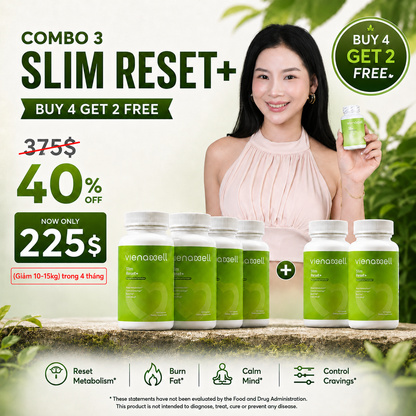 SLIM RESET+